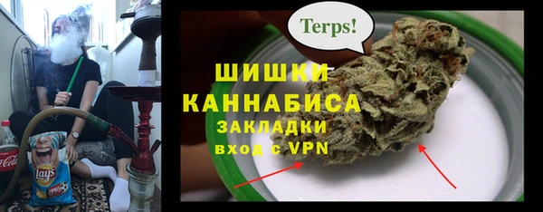 spice Новодвинск