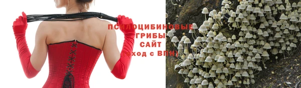 mdpv Нягань