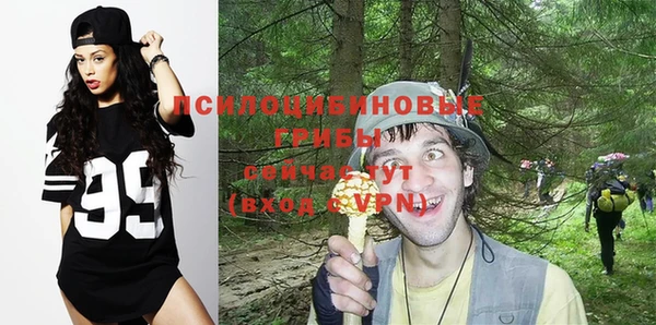 spice Новодвинск