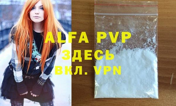 прущие грибы Новокубанск