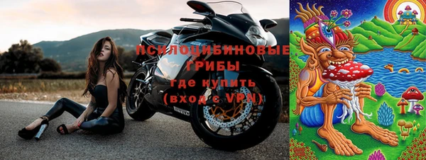 прущие грибы Новокубанск