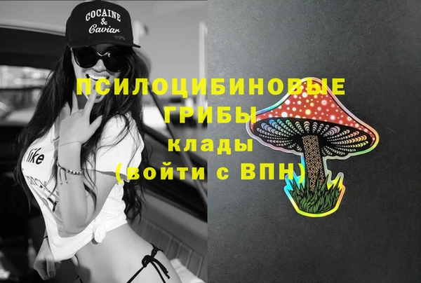 spice Новодвинск