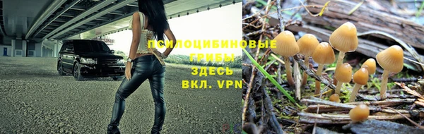 spice Новодвинск