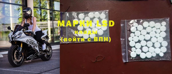прущие грибы Новокубанск