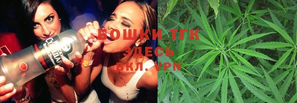 прущие грибы Новокубанск